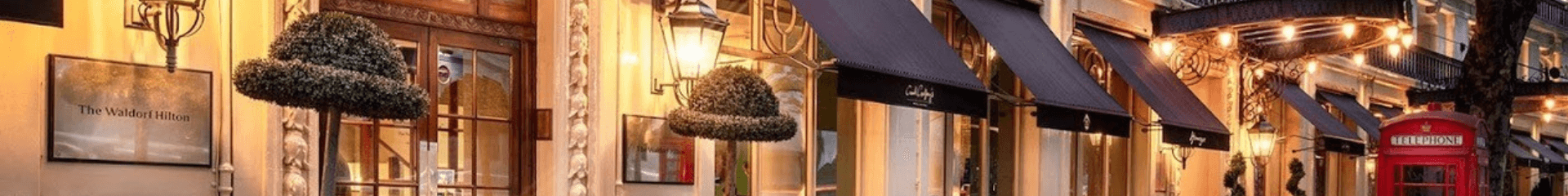 Investing in Cellulose - 2025 cover image